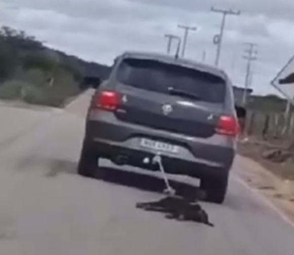 Homem é preso por arrastar cachorro amarrado ao carro Coisas de